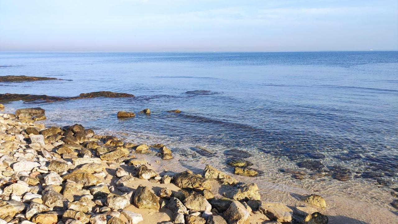 Seagull Apartments - Front And Sea View & Airport בארי מראה חיצוני תמונה