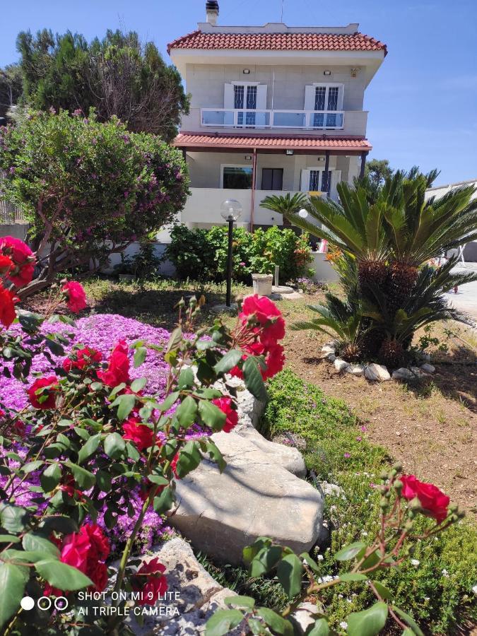 Seagull Apartments - Front And Sea View & Airport בארי מראה חיצוני תמונה