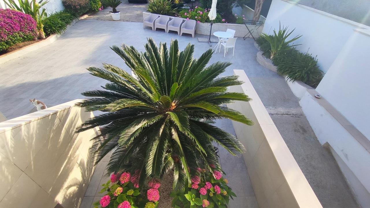 Seagull Apartments - Front And Sea View & Airport בארי מראה חיצוני תמונה