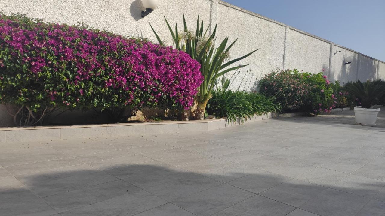 Seagull Apartments - Front And Sea View & Airport בארי מראה חיצוני תמונה