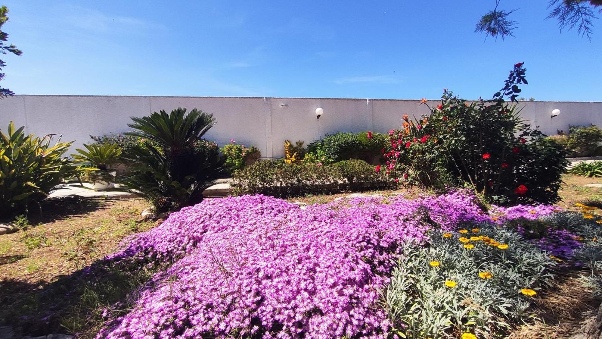 Seagull Apartments - Front And Sea View & Airport בארי מראה חיצוני תמונה