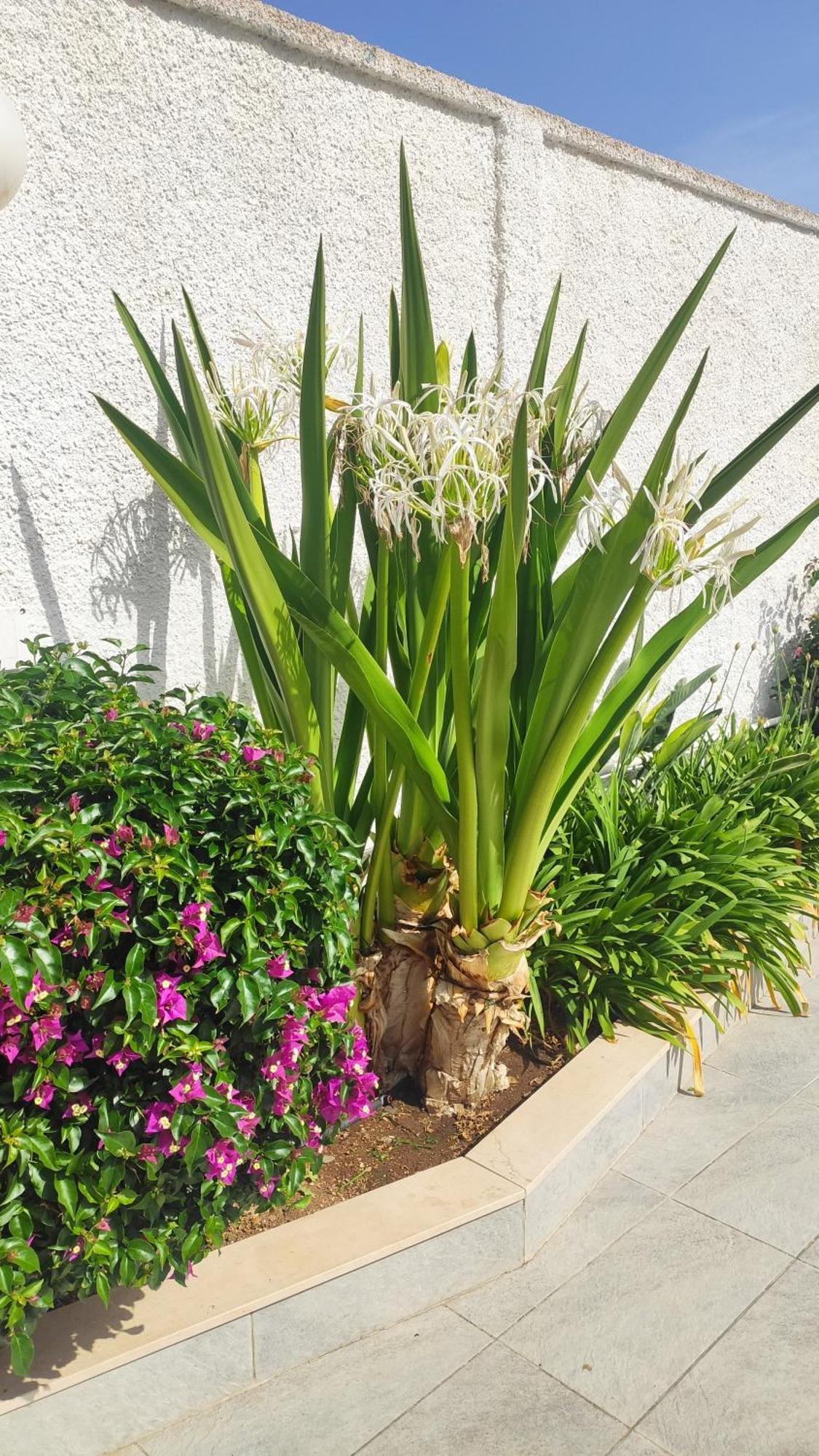 Seagull Apartments - Front And Sea View & Airport בארי מראה חיצוני תמונה